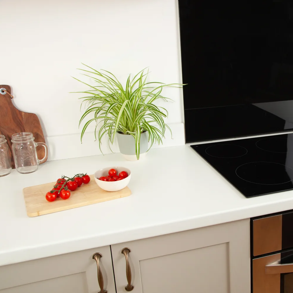 White Semi Gloss - Image 2